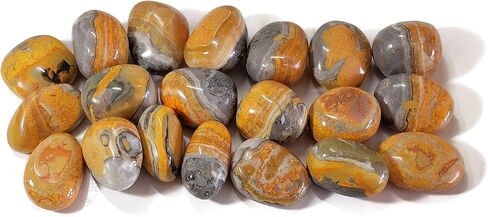 1 قطعة نحلة جاسبر متوسطة/كبيرة نادر ملمع باليد كريستال الأحجار الكريمة عينة من بالي إندونيسيا in Kuwait