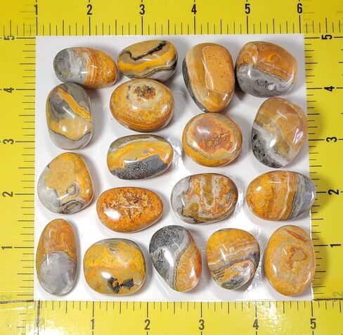 1 قطعة نحلة جاسبر متوسطة/كبيرة نادر ملمع باليد كريستال الأحجار الكريمة عينة من بالي إندونيسيا in Kuwait