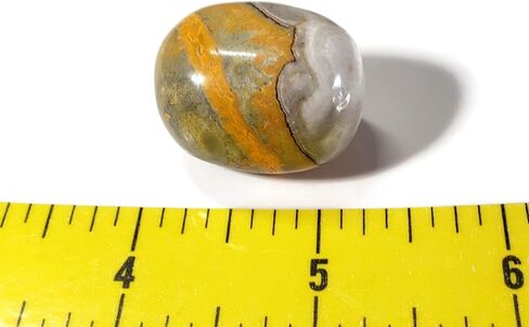 1 قطعة نحلة جاسبر متوسطة/كبيرة نادر ملمع باليد كريستال الأحجار الكريمة عينة من بالي إندونيسيا in Kuwait