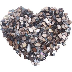 LUCKY BABY Crushed Shells for Crafts, Small Natural Crushed Seashells Pieces Chips, Sea Shells for Decorating Wedding Vase Fillers Beach Weddings Party Home Decor 21oz in Kuwait