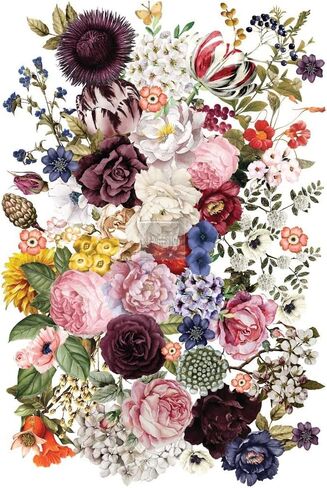 Redesign with Prima Wondrous Florals Decor Transfer Rub on Transfers for Furniture Vintage Rub on Transfers Stickers for Furniture Kitchen Wall Hallway 655350642341 Redesign-Transfer in Saudi Arabia