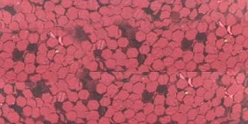 Glitter 4oz-Red in Saudi Arabia