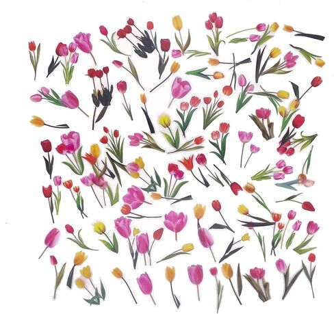 160 Pcs Transparent Flower Stickers for Scrapbooking Junk Journal Diary Planner Bujo Notebook Collage Water Bottle Phone Case Envelope DIY Craft Decoration, 80 Patterns in Saudi Arabia
