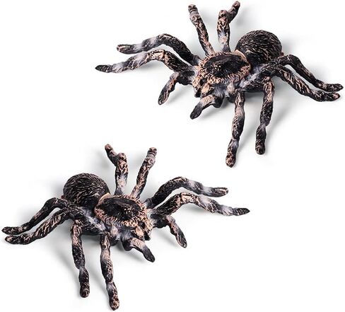 عنكبوت صناعي لتزيين الهالوين، نموذج عنكبوت محاكاة، عنكبوت بلاستيكي واقعي، ألعاب تعليمية تعليمية، هدايا لمحبي العنكبوت (قطعتان) in Kuwait