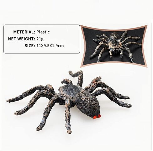 عنكبوت صناعي لتزيين الهالوين، نموذج عنكبوت محاكاة، عنكبوت بلاستيكي واقعي، ألعاب تعليمية تعليمية، هدايا لمحبي العنكبوت (قطعتان) in Kuwait