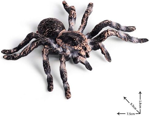 عنكبوت صناعي لتزيين الهالوين، نموذج عنكبوت محاكاة، عنكبوت بلاستيكي واقعي، ألعاب تعليمية تعليمية، هدايا لمحبي العنكبوت (قطعتان) in Kuwait