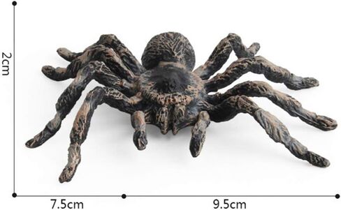 عنكبوت صناعي لتزيين الهالوين، نموذج عنكبوت محاكاة، عنكبوت بلاستيكي واقعي، ألعاب تعليمية تعليمية، هدايا لمحبي العنكبوت (قطعتان) in Kuwait