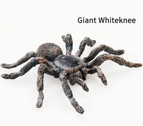 عنكبوت صناعي لتزيين الهالوين، نموذج عنكبوت محاكاة، عنكبوت بلاستيكي واقعي، ألعاب تعليمية تعليمية، هدايا لمحبي العنكبوت (قطعتان) in Kuwait