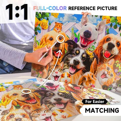 The Original 1000 Piece Puzzle, in Kuwait