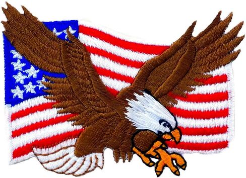 Graphic Dust USA US Flag Bald Eagle Embroidered Iron on Patch United States of America Flag Hawk Falcon Army Military Uniform Costume Biker Jean Jacket in Saudi Arabia