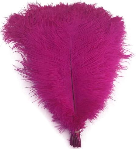 Shekyeon 12-14inch(30-35cm) Ostrich Feathers Plumes for Wedding Centerpieces Pack of 10 (Black) in Saudi Arabia