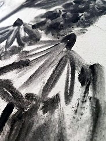 Raven Powders Premium Charcoal Powder for Drawing and Art in Saudi Arabia