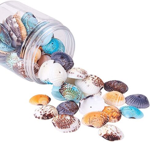 PH PandaHall 50~56pcs Dyed Natural Conch Shell Beads Drilled Tiny Scallop Sea Shells Ocean Beach Seashells Craft Charms for Candle Making Home Decoration Party Wedding Decor Mixed Colors in Saudi Arabia