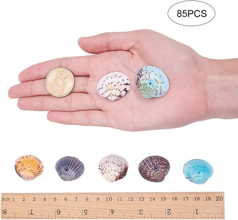 PH PandaHall 50~56pcs Dyed Natural Conch Shell Beads Drilled Tiny Scallop Sea Shells Ocean Beach Seashells Craft Charms for Candle Making Home Decoration Party Wedding Decor Mixed Colors in Saudi Arabia
