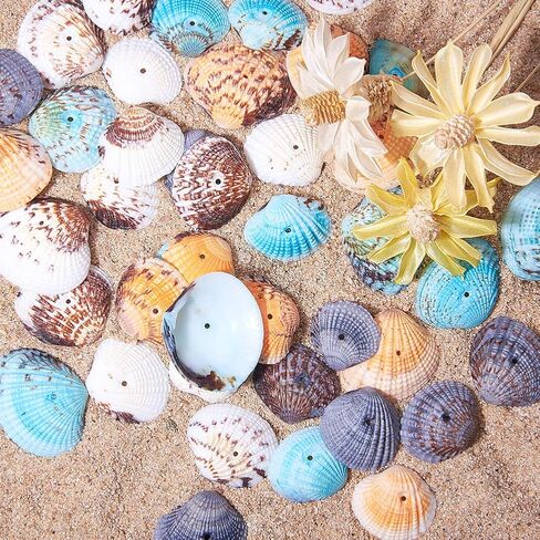PH PandaHall 50~56pcs Dyed Natural Conch Shell Beads Drilled Tiny Scallop Sea Shells Ocean Beach Seashells Craft Charms for Candle Making Home Decoration Party Wedding Decor Mixed Colors in Saudi Arabia