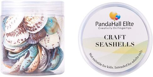 PH PandaHall 50~56pcs Dyed Natural Conch Shell Beads Drilled Tiny Scallop Sea Shells Ocean Beach Seashells Craft Charms for Candle Making Home Decoration Party Wedding Decor Mixed Colors in Saudi Arabia