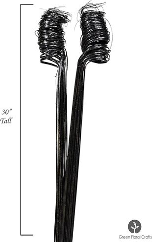 مجموعة واحدة من الحرف الزهرية الخضراء (حزمتان من 20 جذعًا) فروع لامعة لامعة مجعدة بطول 2 قدم - حشو مزهرية مثالي أو ديكور لحفلات الزفاف والعطلات (طبيعي بدون لمعان) in Kuwait