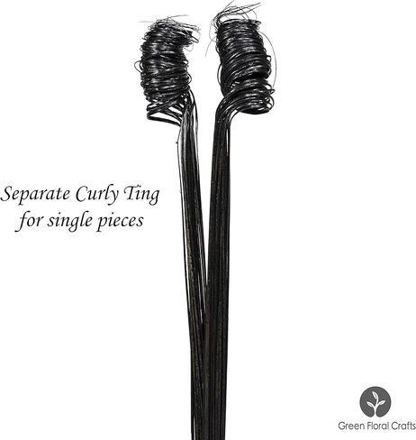 مجموعة واحدة من الحرف الزهرية الخضراء (حزمتان من 20 جذعًا) فروع لامعة لامعة مجعدة بطول 2 قدم - حشو مزهرية مثالي أو ديكور لحفلات الزفاف والعطلات (طبيعي بدون لمعان) in Kuwait