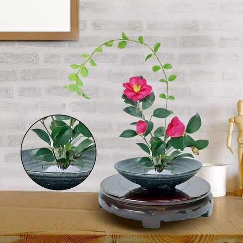 ضفدع زهرة بلاستيكية، ضفادع زهرية يابانية شفافة، بلاستيك من آيكبانا قطع زهرة كنزان، حامل ضفدع مع 3 أكواب شفط لتركيب نبات الحرف اليدوية بالزهور (2.76 بوصة / 70 مم) in Kuwait