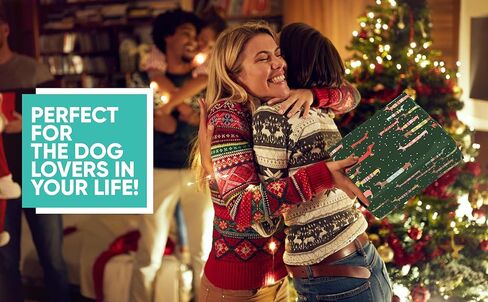 مجموعات ورق التغليف المطوية من K-Kraft (مطبوعات كلب عيد الميلاد و15 علامة عظمية) in Kuwait