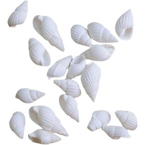 ULTNICE أصداف كبيرة قطعة واحدة من أصداف البحر الصغيرة، أصداف بحرية صغيرة، أصداف صغيرة طبيعية للحرف اليدوية اليدوية على شاطئ المحيط وديكور المنزل أصداف صغيرة in Saudi Arabia