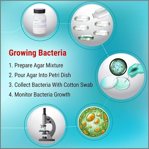 مجموعة AmScope Microbiology Science Fair Kit لزراعة البكتيريا والكائنات الحية الدقيقة الأخرى in Saudi Arabia