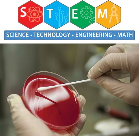 مجموعة AmScope Microbiology Science Fair Kit لزراعة البكتيريا والكائنات الحية الدقيقة الأخرى in Saudi Arabia