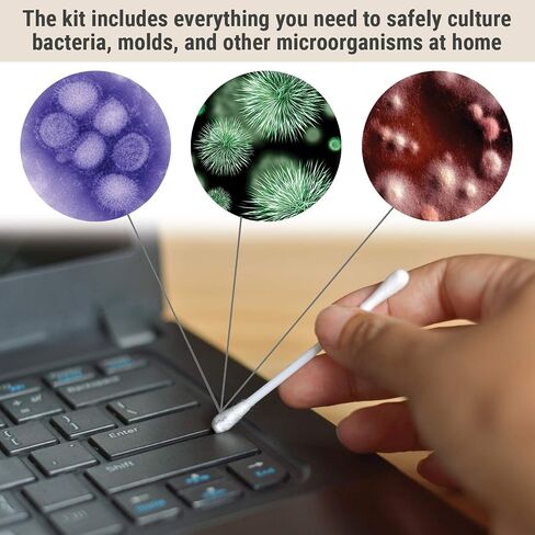 مجموعة AmScope Microbiology Science Fair Kit لزراعة البكتيريا والكائنات الحية الدقيقة الأخرى in Saudi Arabia