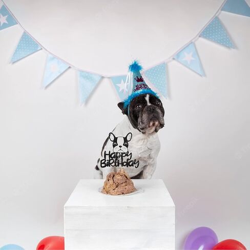 Happy Birthday French Bulldog Cake Topper, Puppy Happy Birthday Party Cake Supplies, Animal/Pet Puppy Theme Birthday Party Supplies in Kuwait