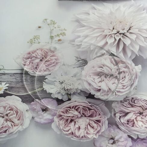 دائرة أكريليك شفافة 40 قطعة قطرها 3 بوصة (7.62 سم) حلية قرص أكريليك شبكي فارغة مع فتحة للرسم والعلامات وسلسلة المفاتيح والمشروعات اليدوية اليدوية in Kuwait