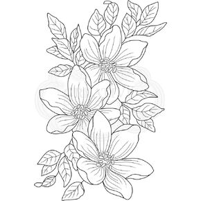 Woodware Clear Stamps 4"X6"-Singles Garden Spray -JGS757 in Saudi Arabia