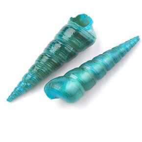 Craftdady 20Pcs Spiral Sea Shells Natural Beach Seashells 55-75x14-18mm, No Hole for Fish Tank Vase Fillers Home Decorations (Teal)