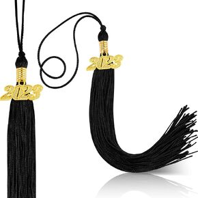 Dingion 2 Pieces 2025 Graduation Tassels Academic Graduation Accessories 2025 Classic Cap Tassel for Ceremonies Ornament(Green)
