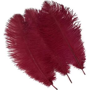 LONDGEN 10pcs Natural Ostrich Feathers Plumes 14-16inch(35-40cm) for Craft Flower Arrangement Wedding Decoration and Halloween Party (White)