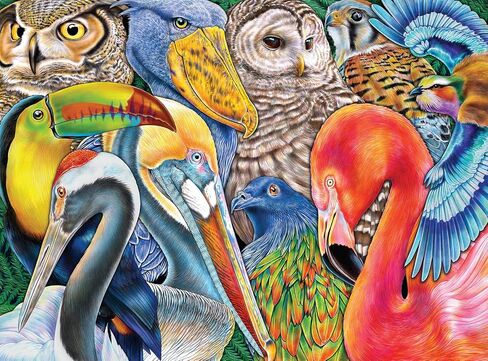 Buffalo Games - Bird Bonanza - 1000 Piece Jigsaw Puzzle for Adults Challenging Puzzle Perfect for Game Nights - 1000 Piece Finished Size is 26.75 x 19.75 in Saudi Arabia