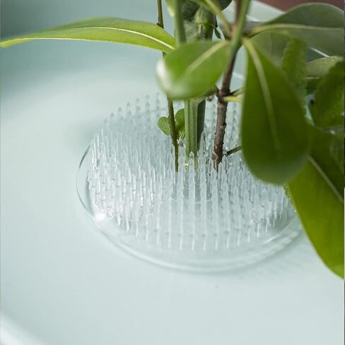 2 قطعة زهرة الضفدع جولة البلاستيك تشكيلة زهور حامل الأزهار دبوس الضفدع 70 مللي متر/2.76 بوصة (أبيض) in Kuwait