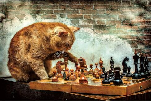 Ingooood- Jigsaw Puzzle 1000 Pieces- Sneak Peek Series-Somali Cat_IG-0820 Entertainment Toys for Adult Special Graduation or Birthday Gift Home Decor in Kuwait