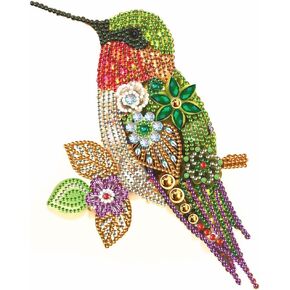 Alloyseed Hummingbird Diamond Painting Kits, Partial Special Shaped Easy Diamond Art Kit for Adults Beginner, 5D Hummingbird Paint with Diamond by Number for Girls Boys, Wall Decor 30x30cm/12x12in in Kuwait