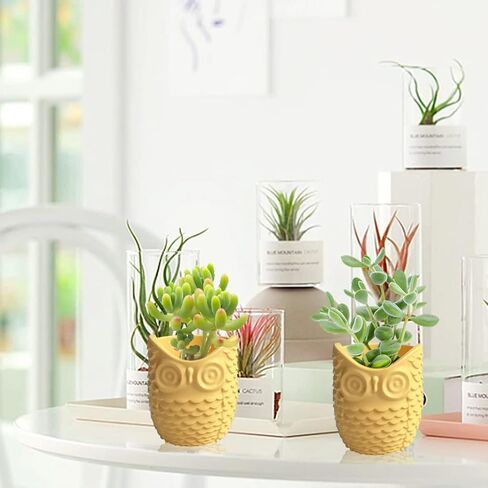 FineInno Pen Cup Resin Silicone Mold, Owl Candle Holder Mold, Epoxy Casting Mold Planter, Storage Jar Mold for Jewelry Trinkets Beads Candy Container, Home Decor in Saudi Arabia
