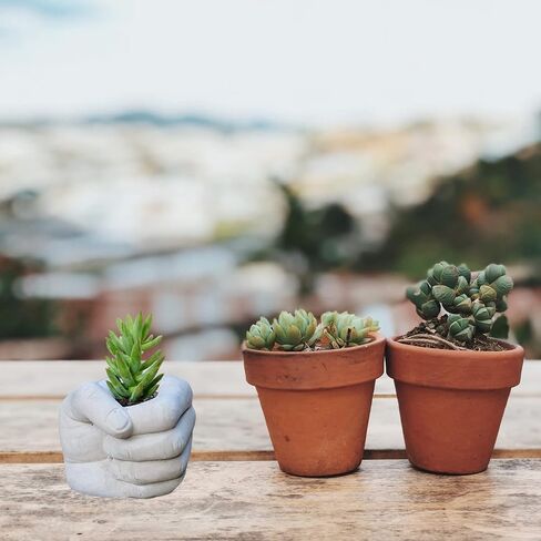 ONNPNN قبضة شكل زهرة وعاء سيليكون العفن، إشارات إبداعية مزهرية ايبوكسي الراتنج قوالب ، 3D اليد مجوهرات حامل القلم حامل الحاويات ، النباتات النضرة وعاء الإسمنت العفن لصب ديكور المنزل in Kuwait