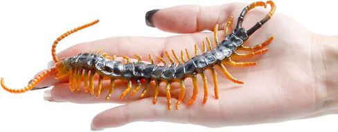 2 قطعة تمثال حريش مصغر من البلاستيك حريش صغير سكولوبندرا حشرات من أجل هدية نكتة كذبة أبريل ديكور حفلات الهالوين in Kuwait