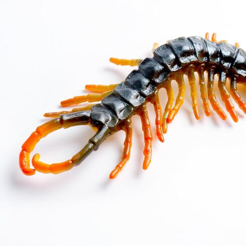 2 قطعة تمثال حريش مصغر من البلاستيك حريش صغير سكولوبندرا حشرات من أجل هدية نكتة كذبة أبريل ديكور حفلات الهالوين in Kuwait