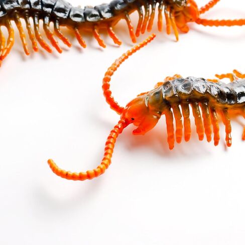 2 قطعة تمثال حريش مصغر من البلاستيك حريش صغير سكولوبندرا حشرات من أجل هدية نكتة كذبة أبريل ديكور حفلات الهالوين in Kuwait