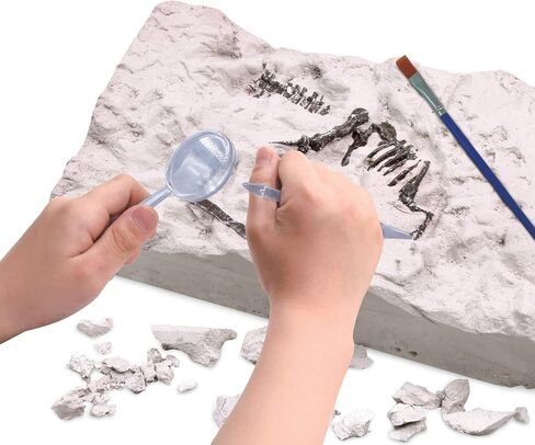 مجموعة لعب كاتز للتشذيب / الديكورات غير المحدودة من Wow World Dino DIG Excavation Playset STEM Science Tech Math 2 في 1-Brachiosaurus، Triceratops، Pterodactyl (ترايسيراتوبس 3273) in Saudi Arabia