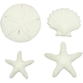Beachcomber Asst. Sea Shell Sand Dollar Star Fish Decorations Sugar Topper Celebrate Cup Cake Cake Cookie toppers 12 count in Saudi Arabia