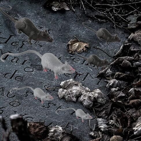 دعائم فأرة وهمية للهالووين، 33 قطعة من البلاستيك المقالب المقالب المقالب المقالب لعبة حقيقية مضحكة كبيرة فئران دعائم حفلة الهالوين، ألعاب حديثة للهالوين لتزيين المنزل المسكون in Kuwait