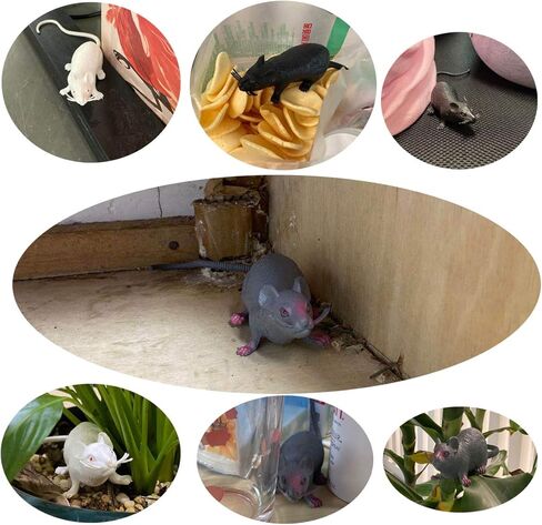 دعائم فأرة وهمية للهالووين، 33 قطعة من البلاستيك المقالب المقالب المقالب المقالب لعبة حقيقية مضحكة كبيرة فئران دعائم حفلة الهالوين، ألعاب حديثة للهالوين لتزيين المنزل المسكون in Kuwait