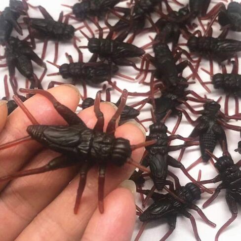 Toyvian Fake Bugs 50pcs Insect Prank Toy Cricket Props Plastic Fake Insect Toys Prank Scary Trick Tricky Brains Joke Gifts for April Fool Party Props Office Pranks in Saudi Arabia