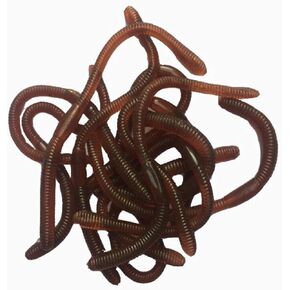 20 pcs Fake Earthworm Faux Lifelike Plastic Soft Stretchy Rubber Earthworms Trick Toy Fishing Lures Baits for Halloween April Fool's Day Party Decoration in Saudi Arabia