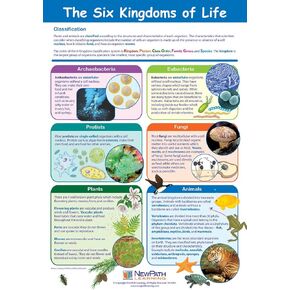 NewPath Learning-34-6112 The Six Kingdoms of Life Poster - Laminated, Full-Color, 23" x 35" in Saudi Arabia